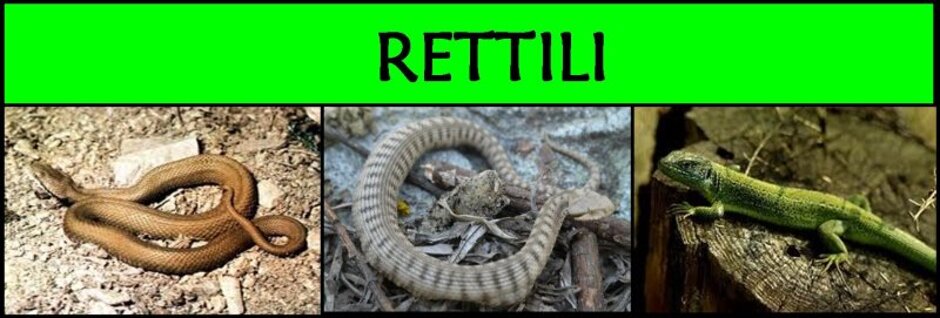 8ba686ae-9fc4-420c-bfc6-5f0913509c14 8ba686ae-9fc4-420c-bfc6-5f0913509c14