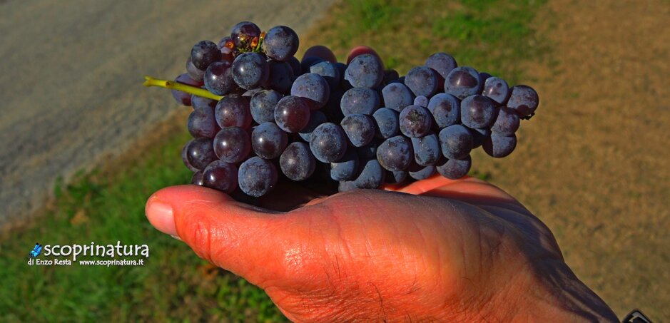 b04aa0d3-1d31-4a95-89c3-52d2161a8a62 b04aa0d3-1d31-4a95-89c3-52d2161a8a62