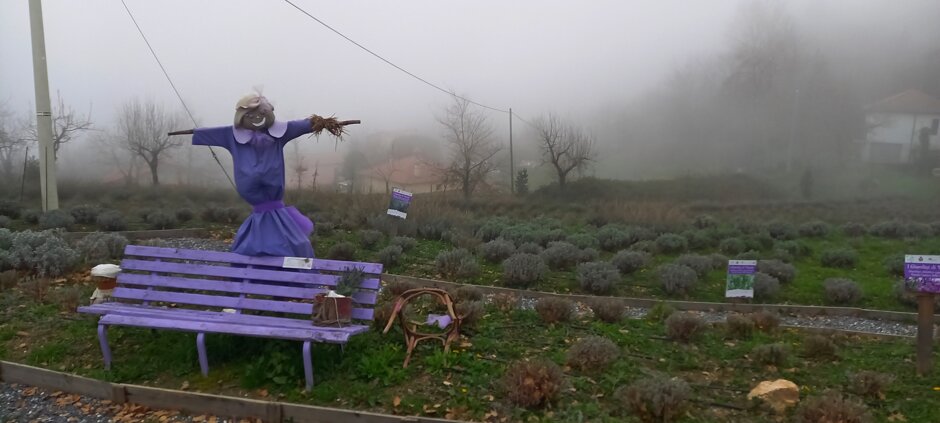 9a77b140-2983-47a7-919b-50994b22fa5a 9a77b140-2983-47a7-919b-50994b22fa5a