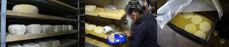 785ea058-109b-4a0f-8d43-dff1432f9efe 785ea058-109b-4a0f-8d43-dff1432f9efe