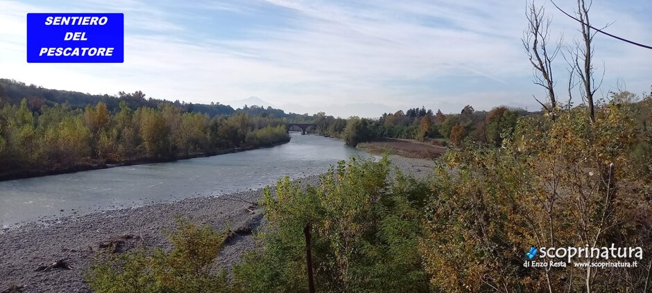 fddc5723-0413-4bf6-a896-5e3e903b9bc2