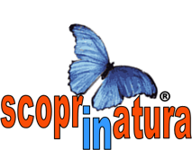 dd0c0dbb-abf4-4e97-95b3-3cd1f06aa912