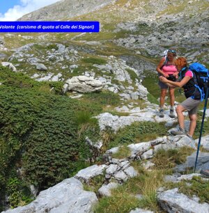 ingresso Abisso Volante