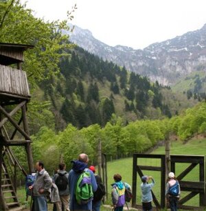 Osservatorio faunistico