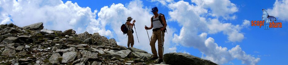 f453ec3d-f27a-438b-93f6-e6ce94ca2e58