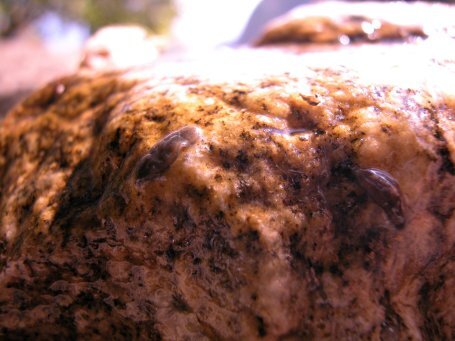 e8cd52de-6483-4c83-afda-9b5f7df9c90a