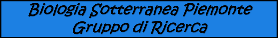 57913082-fbab-4d42-a531-befc72c45987