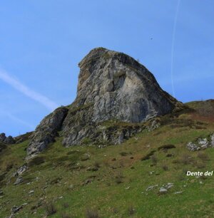 Dente del Seirasso