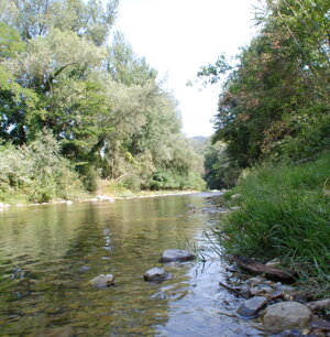 il torrente Maira a Tetti di Dronero