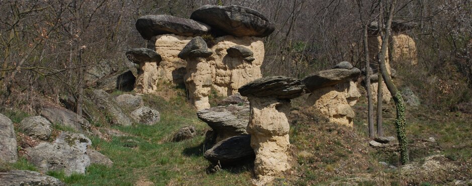 9d4e9b06-2c23-4b07-adb0-b0d42f713c3f