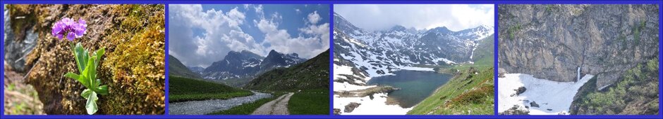 11c2f233-af9a-45a3-bff9-58aeb17eecaf