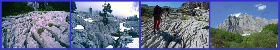 7097b489-e2df-4254-80c3-d995ae8de801