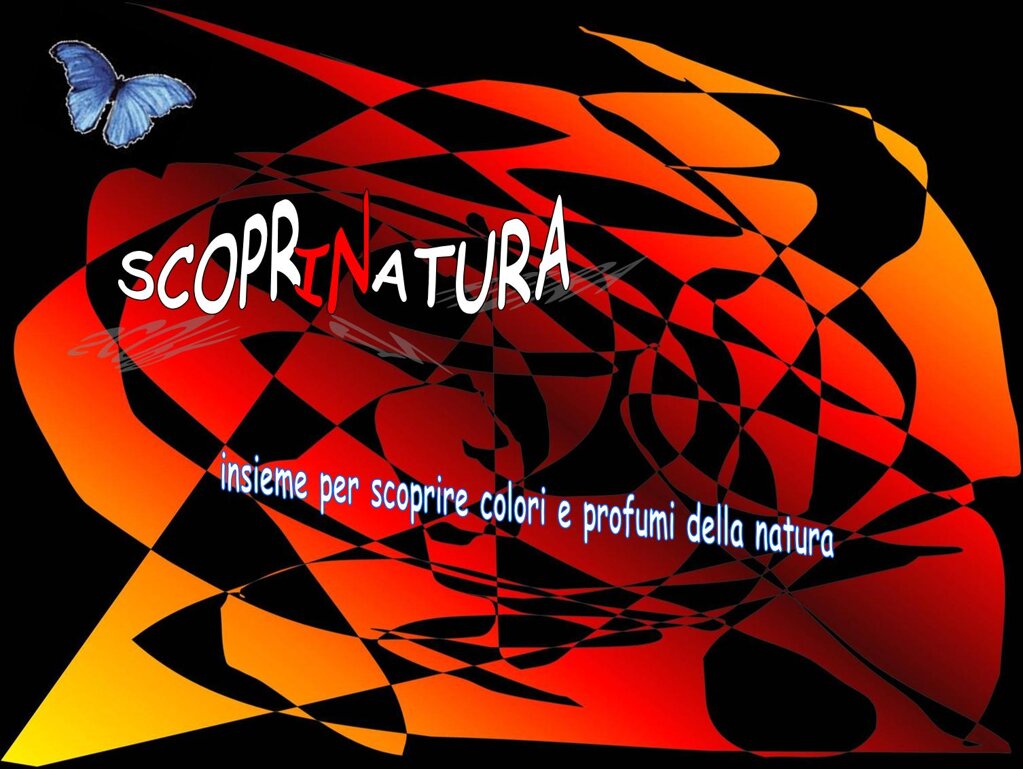 d093faeb-9843-405a-a806-d2e3c48e978d