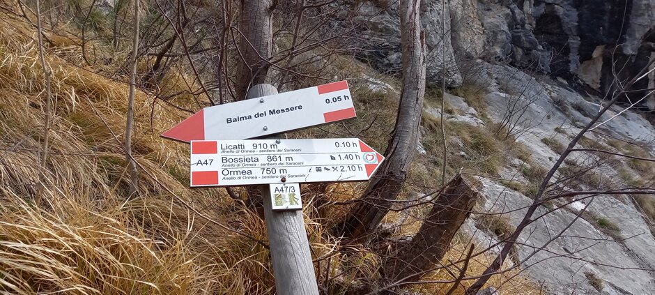 3a53f1b1-91f3-4d8b-87ba-05089a9c1644 3a53f1b1-91f3-4d8b-87ba-05089a9c1644