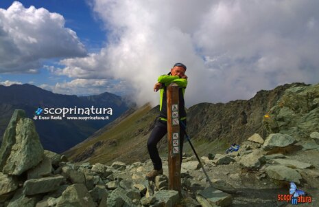 23d649ac-d417-4921-a936-26b8ada7aaa6