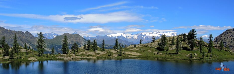 632a238a-8979-4a84-8a19-7103f1680f7c