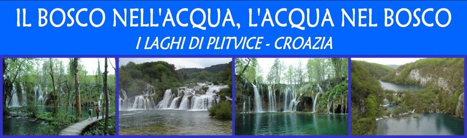 5c326811-eca2-4515-bfaf-9b86b0d88758 5c326811-eca2-4515-bfaf-9b86b0d88758