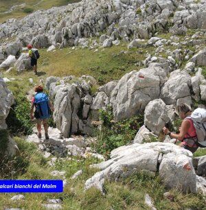 calcari bianchi del Malm