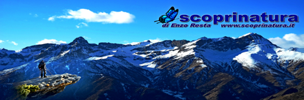 46a5cbc6-8d78-4922-811b-3e0f6bad1c25