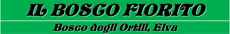 4290e441-6be9-4e93-b715-aa4a5783de29 4290e441-6be9-4e93-b715-aa4a5783de29