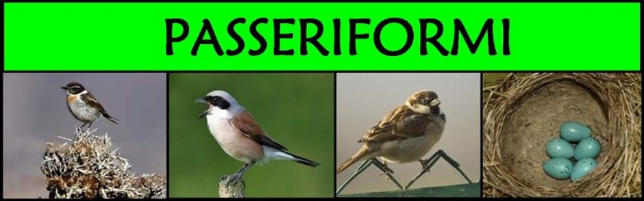 08efd3e3-a696-4867-b7c8-ff6c95fd4aa0 08efd3e3-a696-4867-b7c8-ff6c95fd4aa0