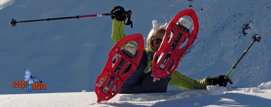 d22e503f-7687-4c5e-8bf3-f8dde200a2b8 d22e503f-7687-4c5e-8bf3-f8dde200a2b8