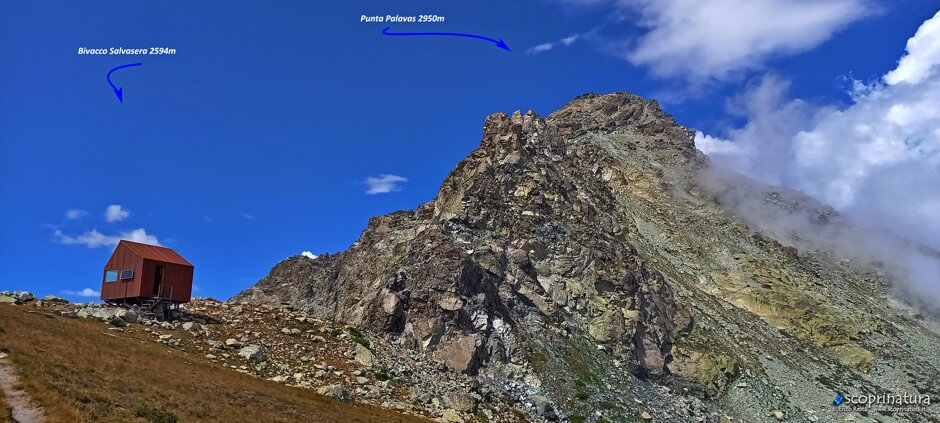 a91a7104-db56-4b86-99c3-cbc3dc5b66c8 a91a7104-db56-4b86-99c3-cbc3dc5b66c8