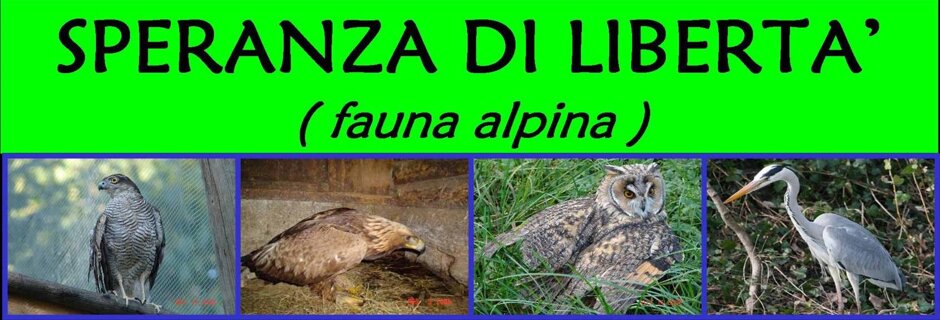 6ee60365-5786-46be-9bbc-550f6bc1c651 6ee60365-5786-46be-9bbc-550f6bc1c651