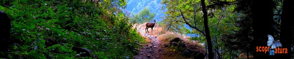 e2888283-6dfb-4a1a-a7b6-83436da58440