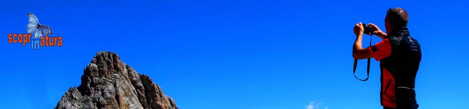 07c0a138-0516-4d1f-8332-04d06bac8250