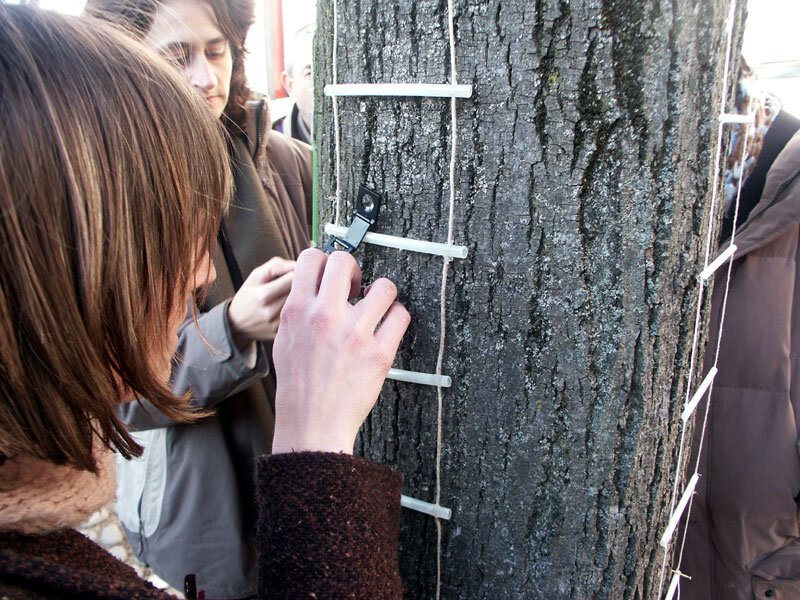 9a8bdf0d-0ec7-4826-bdb7-3423afb56921 9a8bdf0d-0ec7-4826-bdb7-3423afb56921