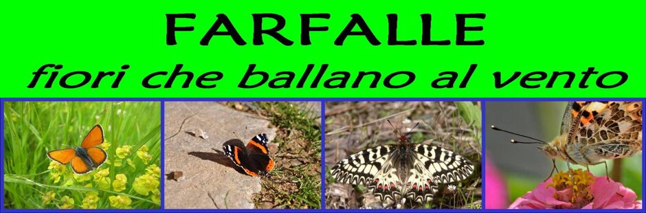 121df7ed-9527-4da9-8aba-7dd042efacd8 121df7ed-9527-4da9-8aba-7dd042efacd8