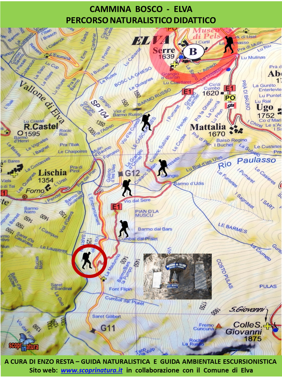 2e1583dc-b4bb-4486-b530-b615e573775a 2e1583dc-b4bb-4486-b530-b615e573775a