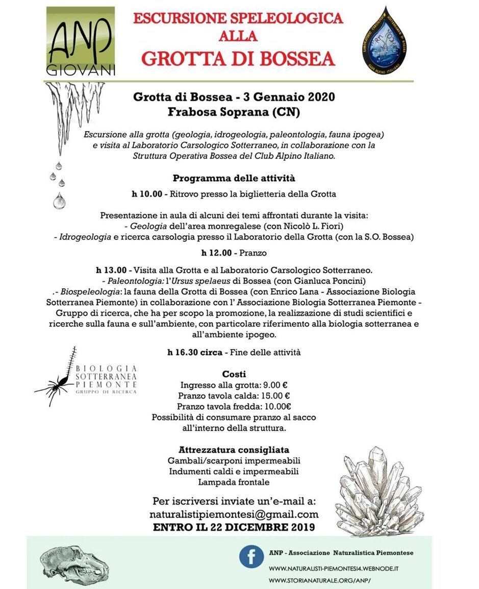 40fbfaf7-282c-4855-a213-dc9399a341d2