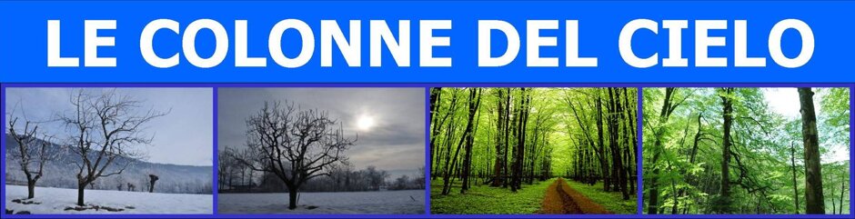 21c1a469-6c2b-4c44-9d7a-e4bcec8f0859 21c1a469-6c2b-4c44-9d7a-e4bcec8f0859