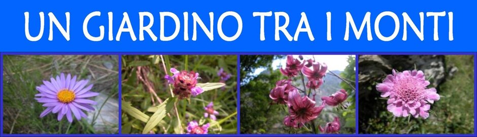 0c678861-18ea-4418-9d6f-dbbb1617e53a 0c678861-18ea-4418-9d6f-dbbb1617e53a