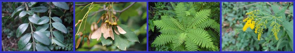 d5c75887-0884-4f1c-a497-4f73001fd6e9 d5c75887-0884-4f1c-a497-4f73001fd6e9