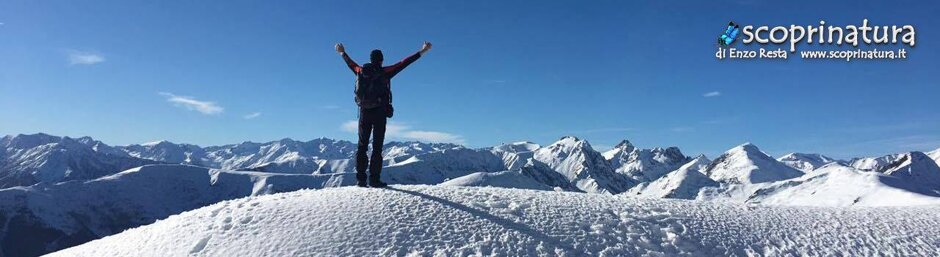 7908f5e1-1aec-4be0-8dbd-cdf7eed59942