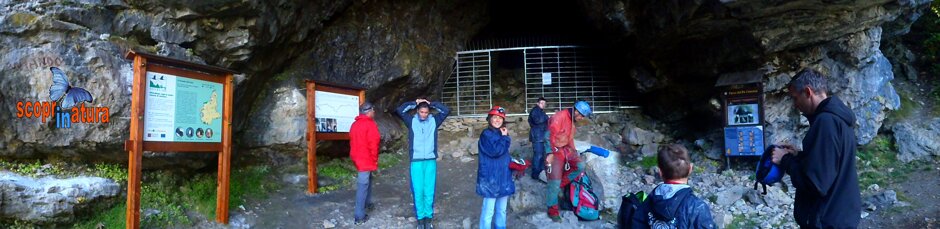 cb21d2bb-9348-49e3-af32-bfe264e93553