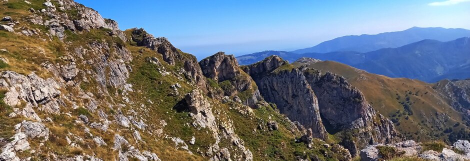 84f2a90f-0a0f-4546-9a19-c6af1642a9cb 84f2a90f-0a0f-4546-9a19-c6af1642a9cb