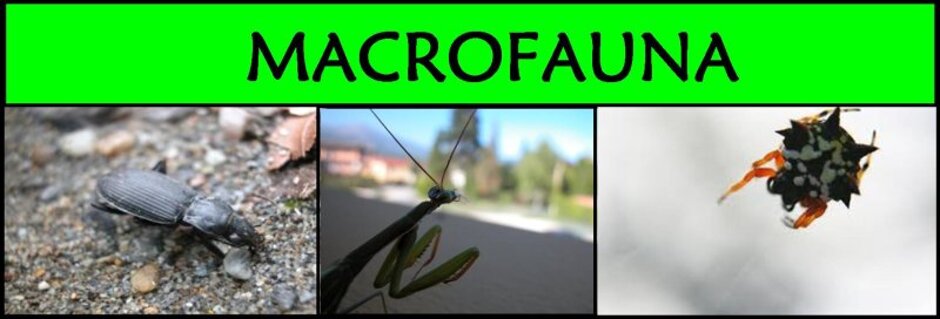 471f26ae-74b1-47e5-a7a7-c2ef9e21c66c 471f26ae-74b1-47e5-a7a7-c2ef9e21c66c