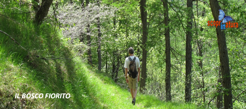 143ae321-bb69-42aa-97ad-8ab3a8aa82e1 143ae321-bb69-42aa-97ad-8ab3a8aa82e1