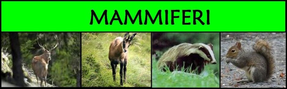 e9545c65-68e6-4446-8fe1-8380a6f96234 e9545c65-68e6-4446-8fe1-8380a6f96234