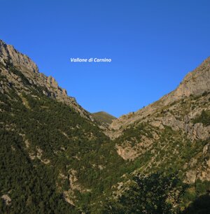 Vallone di Carnino