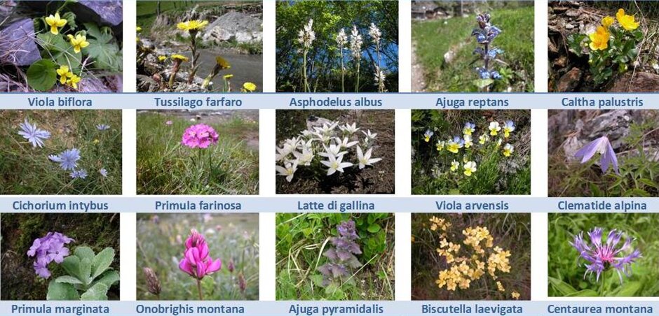 58e6eb55-5ea2-494c-9c38-ebdbad529ab0 58e6eb55-5ea2-494c-9c38-ebdbad529ab0