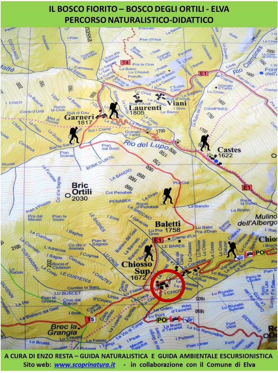 1bf7c42c-4da9-411a-9e75-f6282a034cec 1bf7c42c-4da9-411a-9e75-f6282a034cec