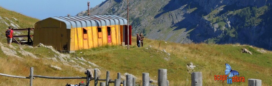 66a5755a-c356-4431-adfb-53e23252027b 66a5755a-c356-4431-adfb-53e23252027b