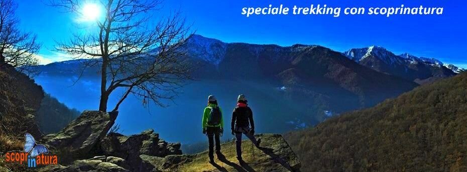 448a8c8e-6793-41f1-970a-786b083df900