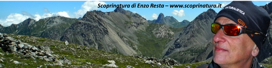 8b3d247c-6ac2-4cae-bc9c-182c0d5f6126