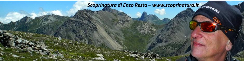 8b3d247c-6ac2-4cae-bc9c-182c0d5f6126